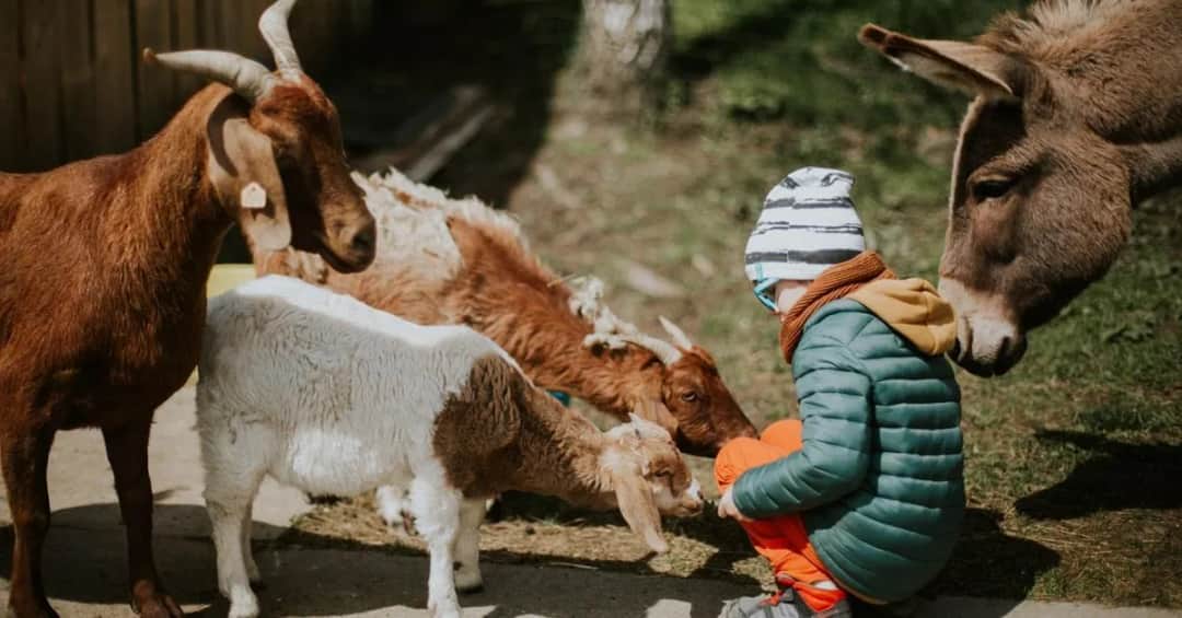 Agroturystyka gdzie znaleźć najlepsze miejsca na wypoczynek na wsi