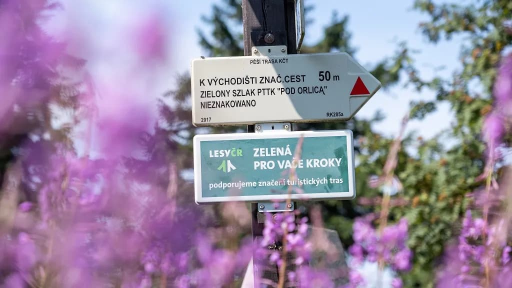 Najlepsze atrakcje w górach orlickich, które musisz zobaczyć