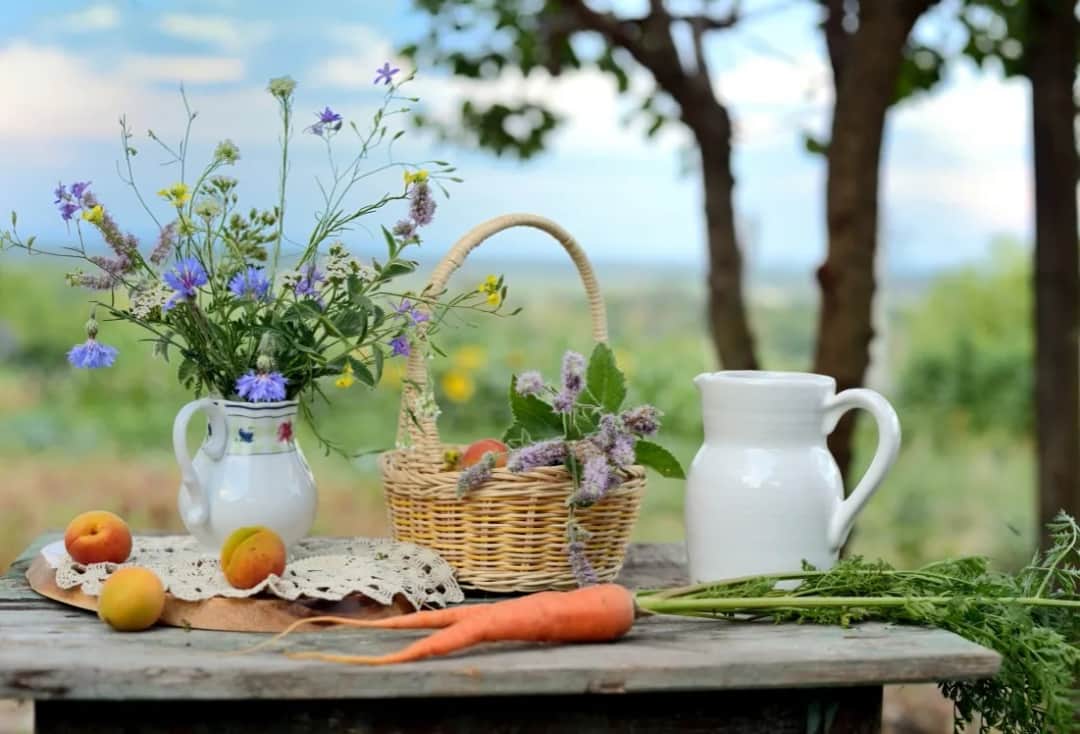 Czy agroturystyki są otwarte? Sprawdź aktualny stan i zasady bezpieczeństwa