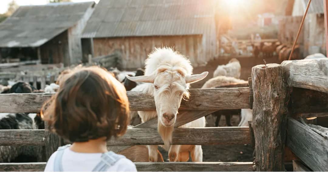 Agroturystyka jak rozpocząć działalność bez zbędnych formalności