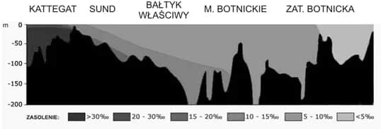 Jakie jest zasolenie Bałtyku? Zaskakujące różnice w jego wartościach