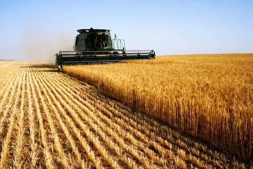 Czy agroturystyka jest działalnością gospodarczą? Poznaj kluczowe informacje